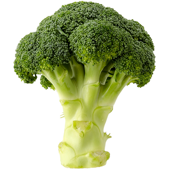 broccoli